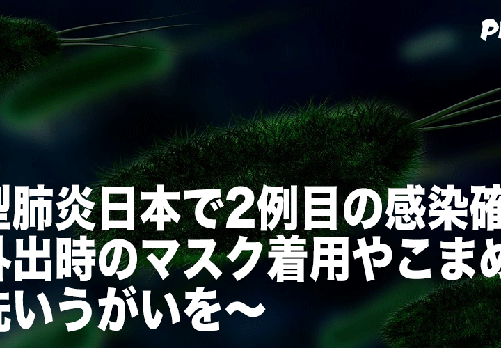 新型肺炎、国内2例目の感染確認 〜外出時のマスク着用やこまめな手洗いうがいを〜